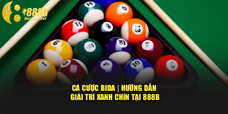 Cá Cược Bida | Hướng Dẫn Giải Trí Xanh Chín Tại 888b