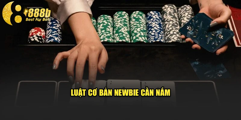 Luật cơ bản newbie cần nắm