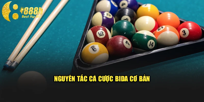 Nguyên tắc cá cược bida cơ bản