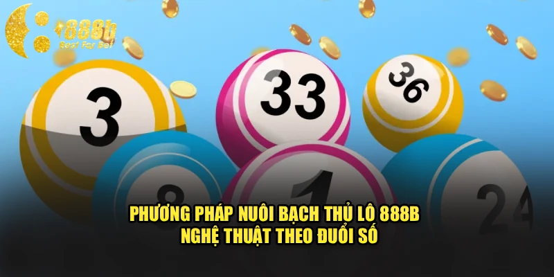 Phương Pháp Nuôi Bạch Thủ Lô 888b - Nghệ Thuật Theo Đuổi Số