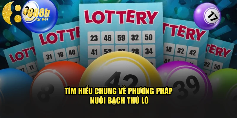 Tìm hiểu chung về phương pháp nuôi bạch thủ lô